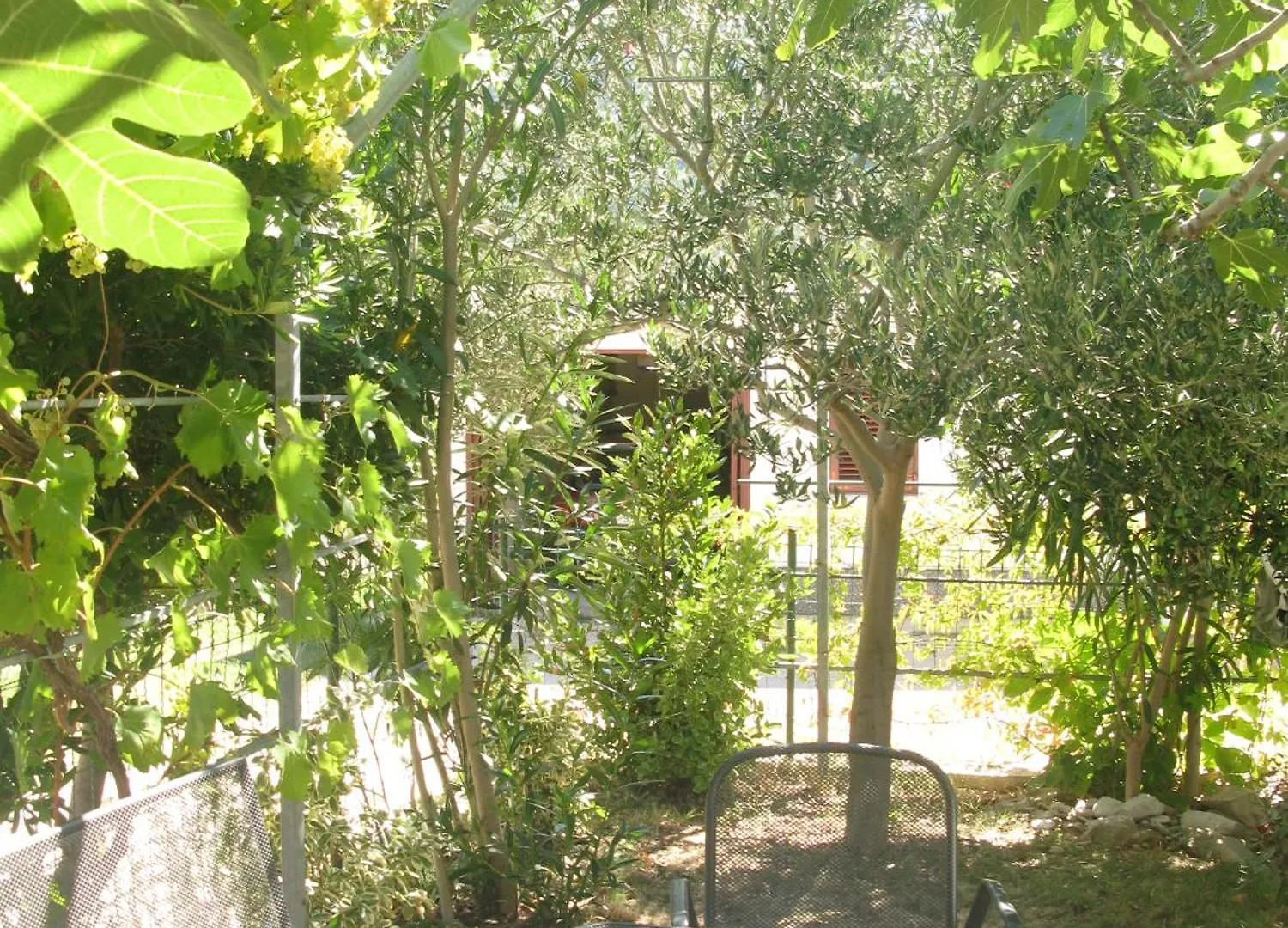 Apartments Ida I Baska